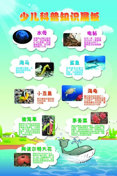 春晚舞台的影子：揭秘赵本山缺席13年的真实原因