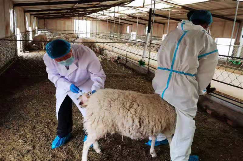 11月3日上午来自邯郸的大奖得主谢先生(化